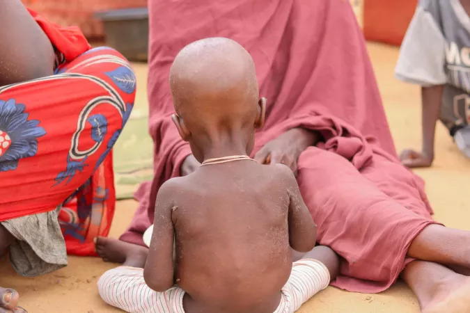 Humanitarian conditions in El Fasher