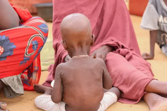 Conditions humanitaires à El Fasher